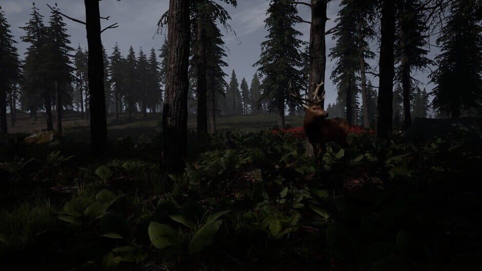 Скриншот 1 из Reborn: Survival