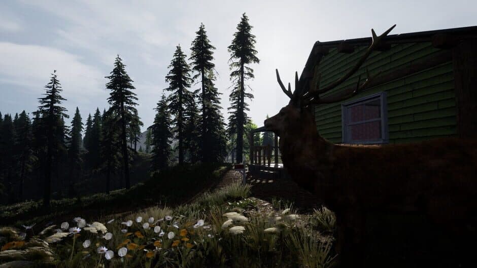 Скриншот 4 из Reborn: Survival