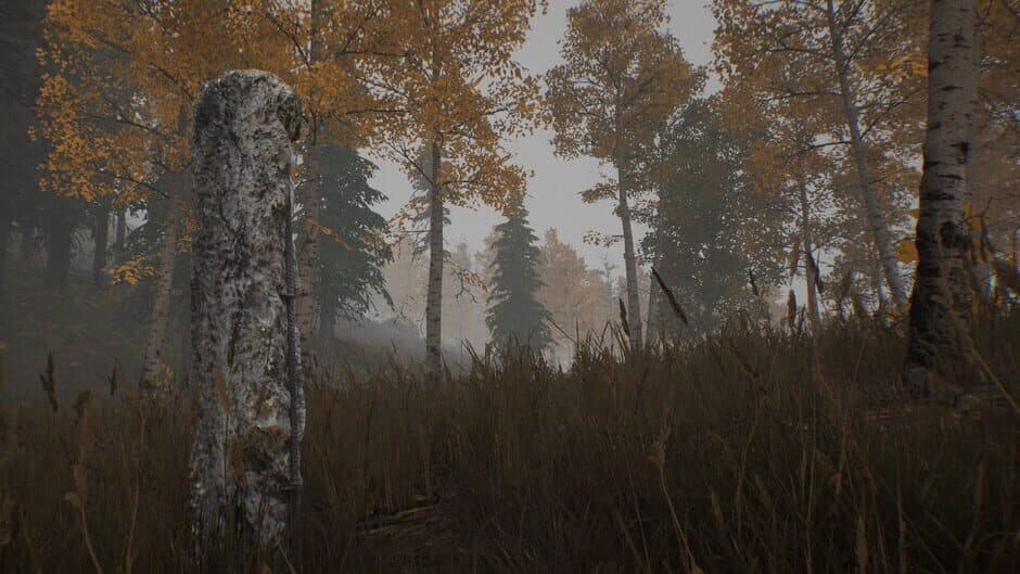 Скриншот 1 из 30km survival zone: Chernobyl