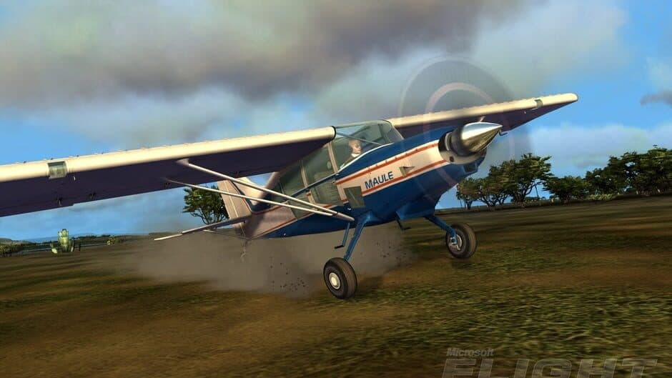 Скриншот 3 из Microsoft Flight