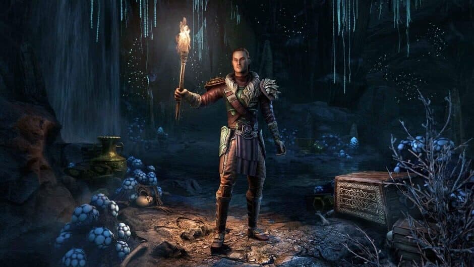 Скриншот 2 из The Elder Scrolls Online: Greymoor