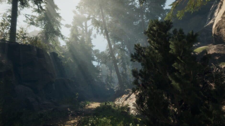 Скриншот 4 из A Walk in the Woods: VR