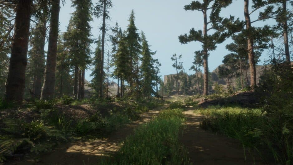 Скриншот 5 из A Walk in the Woods: VR