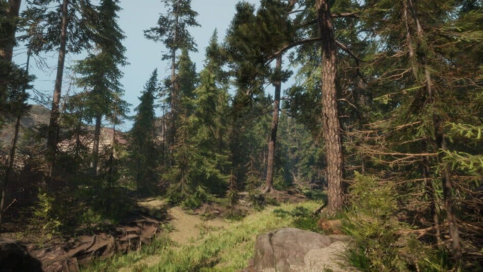 Скриншот 1 из A Walk in the Woods: VR
