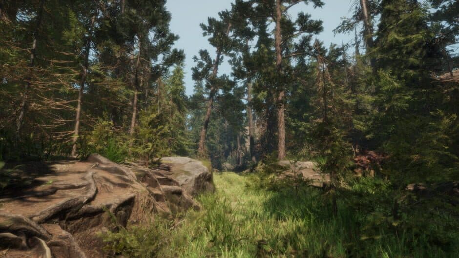 Скриншот 3 из A Walk in the Woods: VR