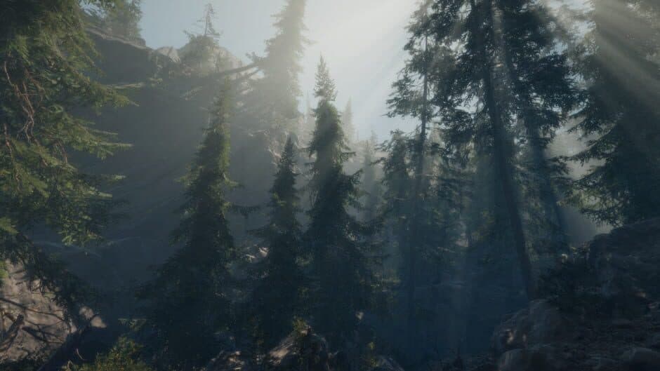 Скриншот 2 из A Walk in the Woods: VR