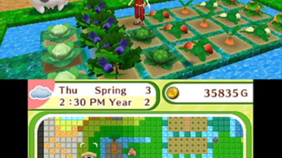 Скриншот 4 из Harvest Moon: Skytree Village