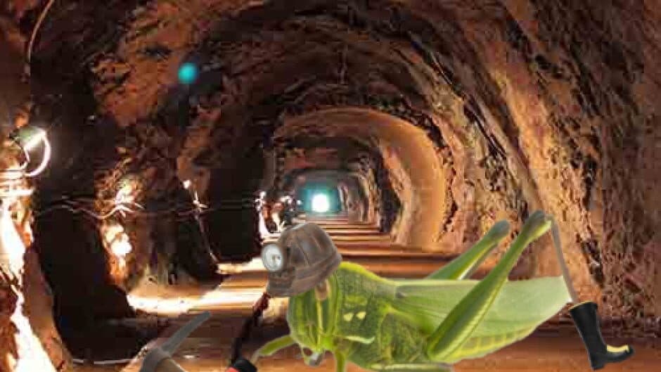 Скриншот 1 из Grasshopper Farm
