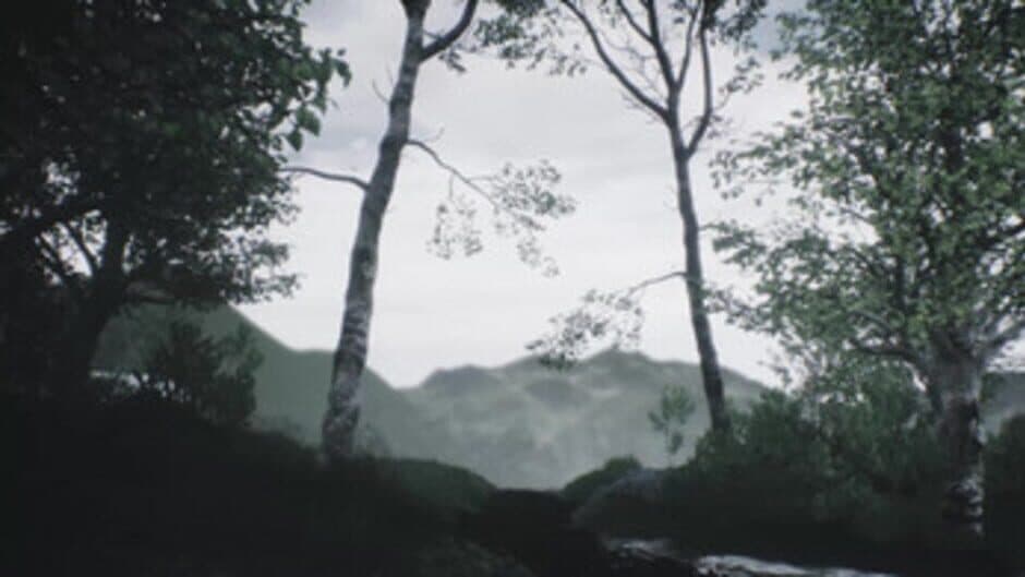 Скриншот 3 из Scenic Forest Valley