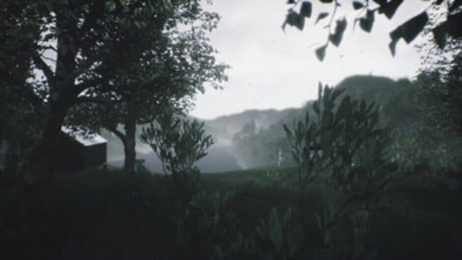 Скриншот 2 из Scenic Forest Valley