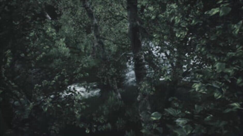Скриншот 4 из Scenic Forest Valley