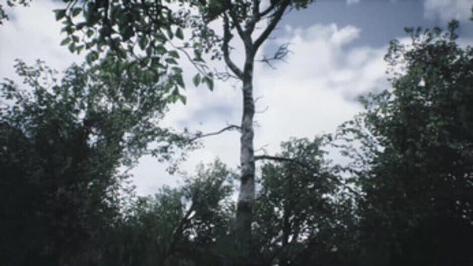Скриншот 5 из Scenic Forest Valley