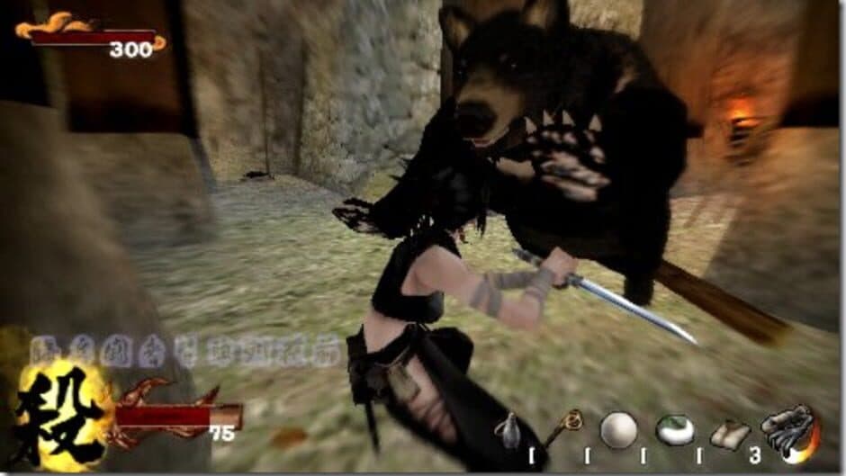 Скриншот 1 из Tenchu 3 Portable