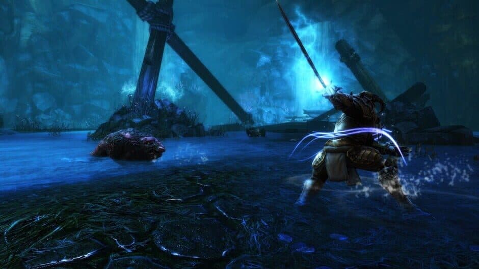 Скриншот 1 из Kingdoms of Amalur: Re-Reckoning