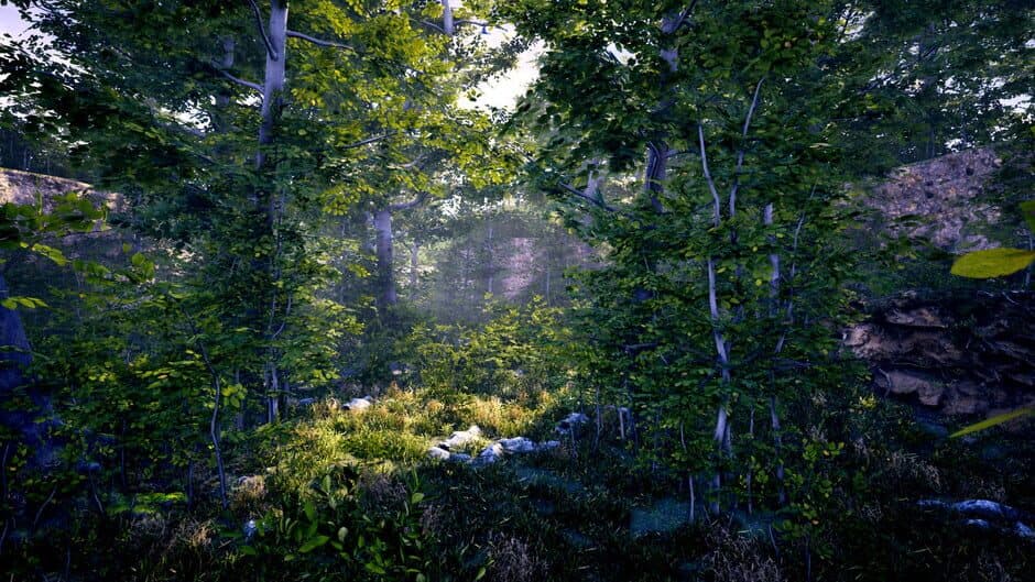 Скриншот 3 из The Fabled Woods