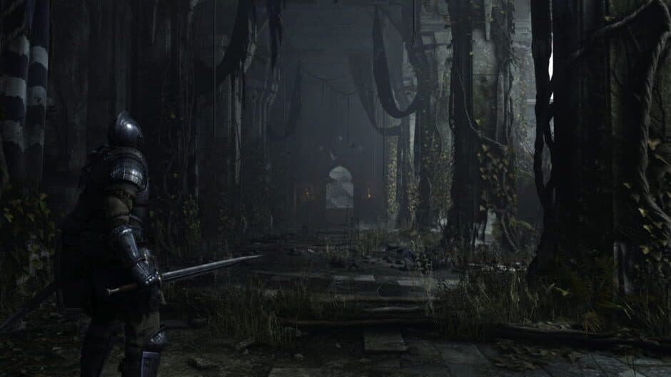 Скриншот 1 из Demon's Souls