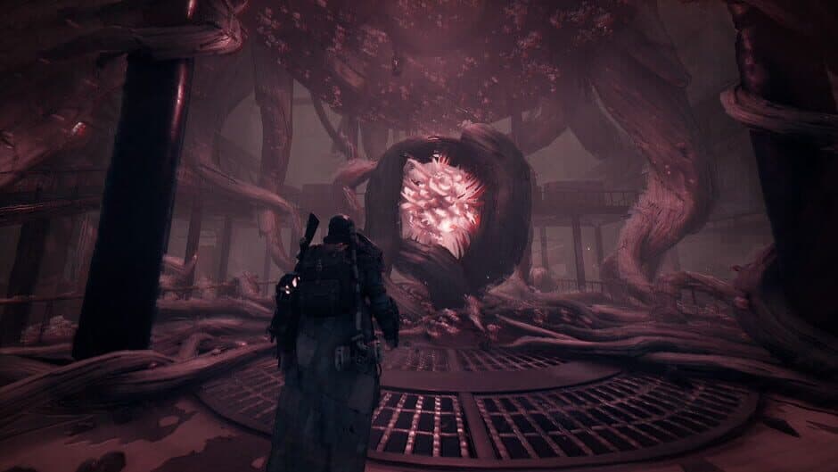 Скриншот 2 из Remnant: From the Ashes - Subject 2923