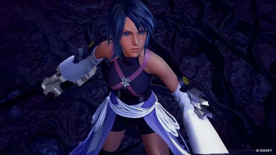 Скриншот 3 из Kingdom Hearts HD 2.8 Final Chapter Prologue: Limited Edition