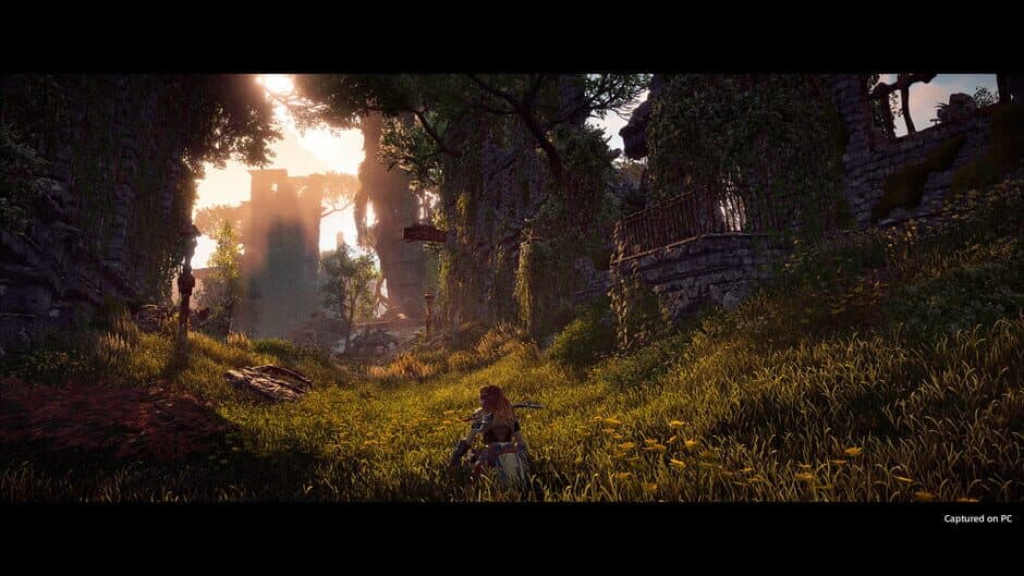 Скриншот 5 из Horizon Zero Dawn: Complete Edition