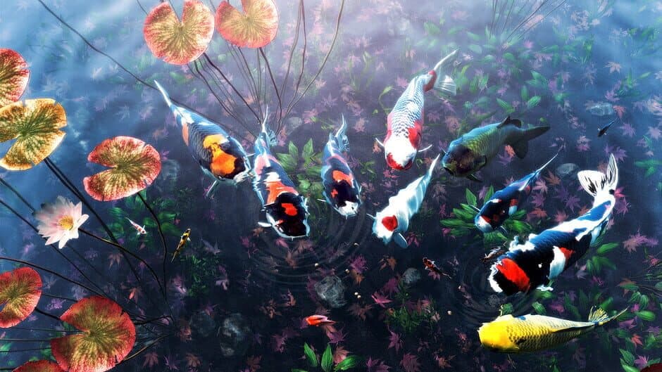Скриншот 4 из My Koi