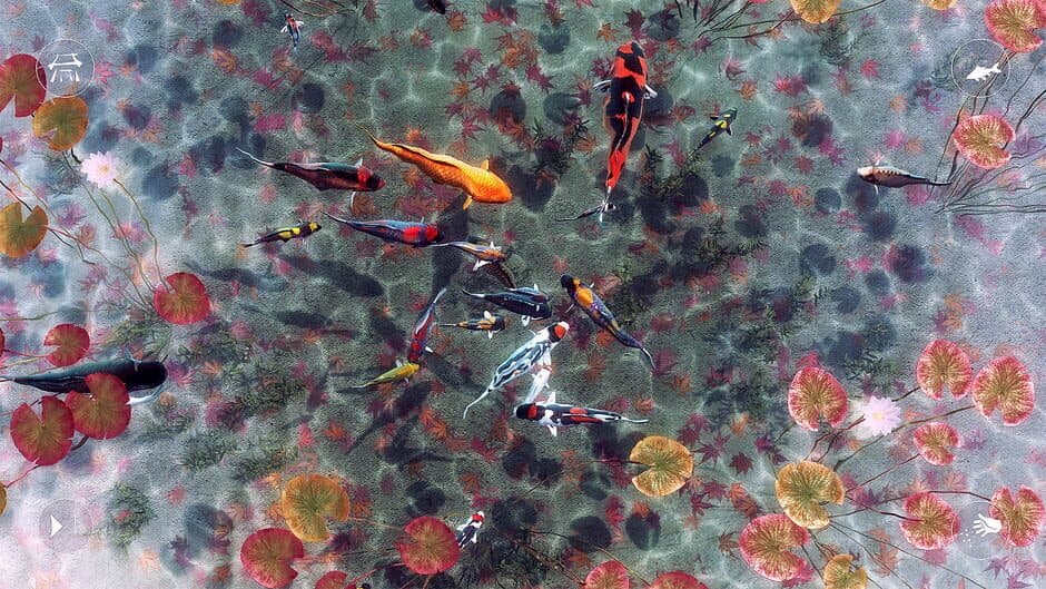 Скриншот 5 из My Koi