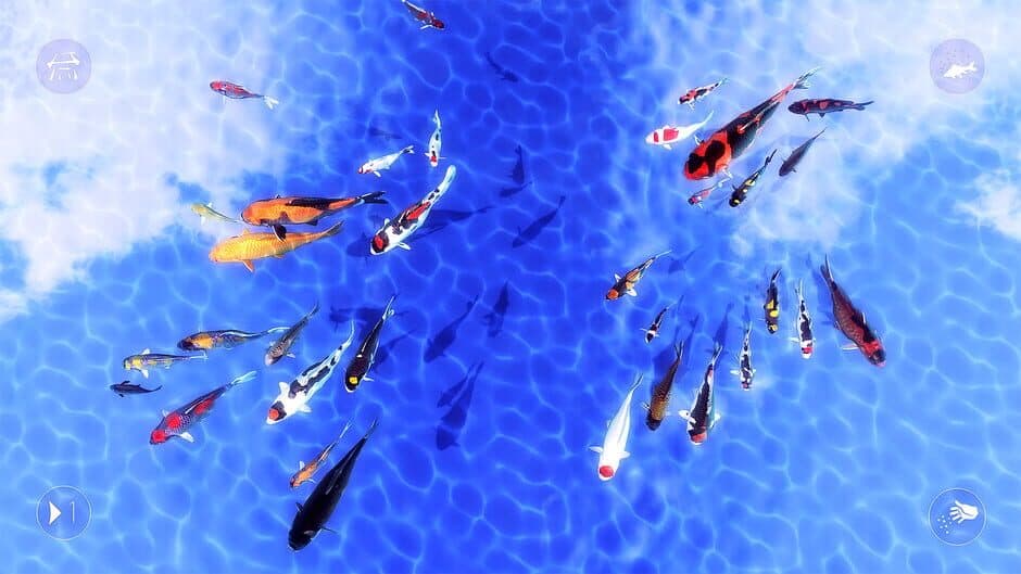 Скриншот 6 из My Koi