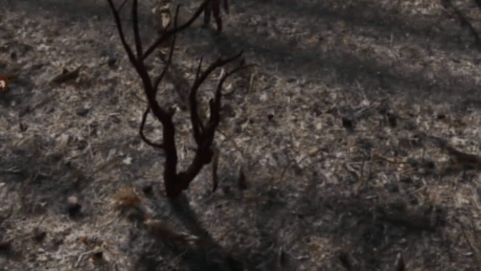 Скриншот 1 из Natural Balance: Chronicles