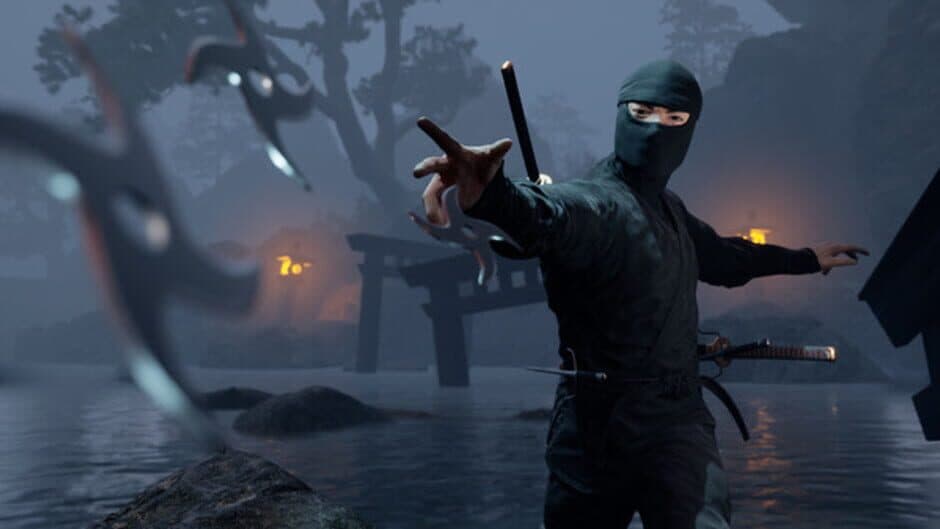 Скриншот 1 из Ninja Simulator
