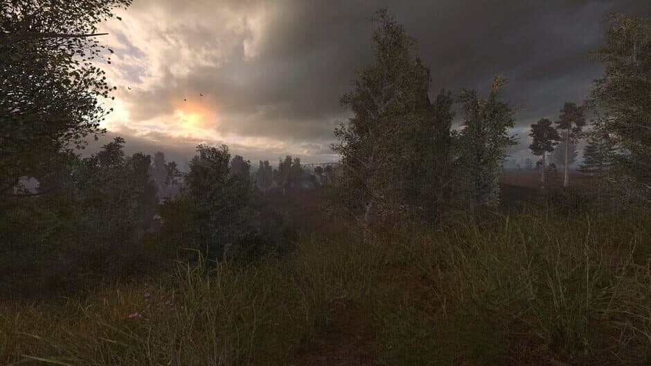 Скриншот 8 из S.T.A.L.K.E.R.: Anomaly