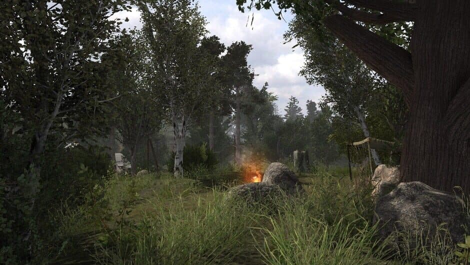 Скриншот 10 из S.T.A.L.K.E.R.: Anomaly