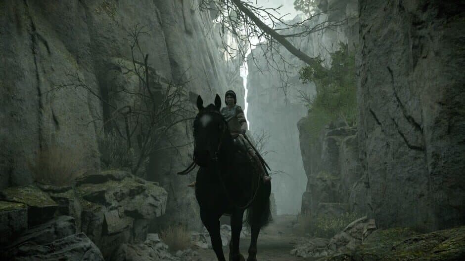 Скриншот 9 из Shadow of the Colossus: Special Edition