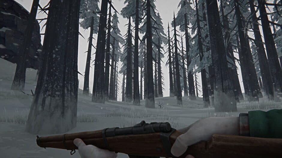 Скриншот 1 из The Long Dark