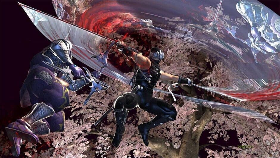 Скриншот 2 из Ninja Gaiden II