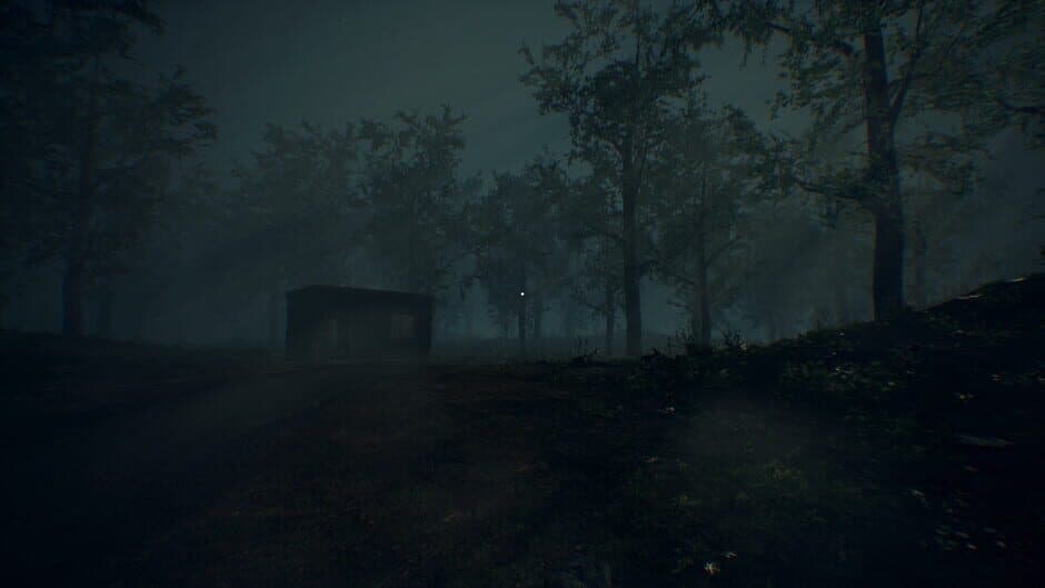 Скриншот 5 из Desolate Roads