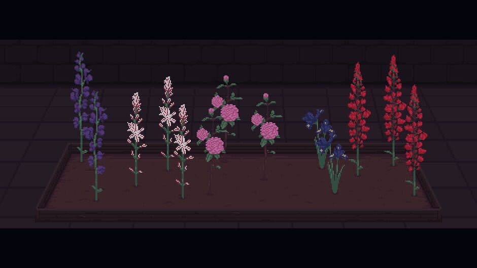 Скриншот 2 из Eternal Home Floristry