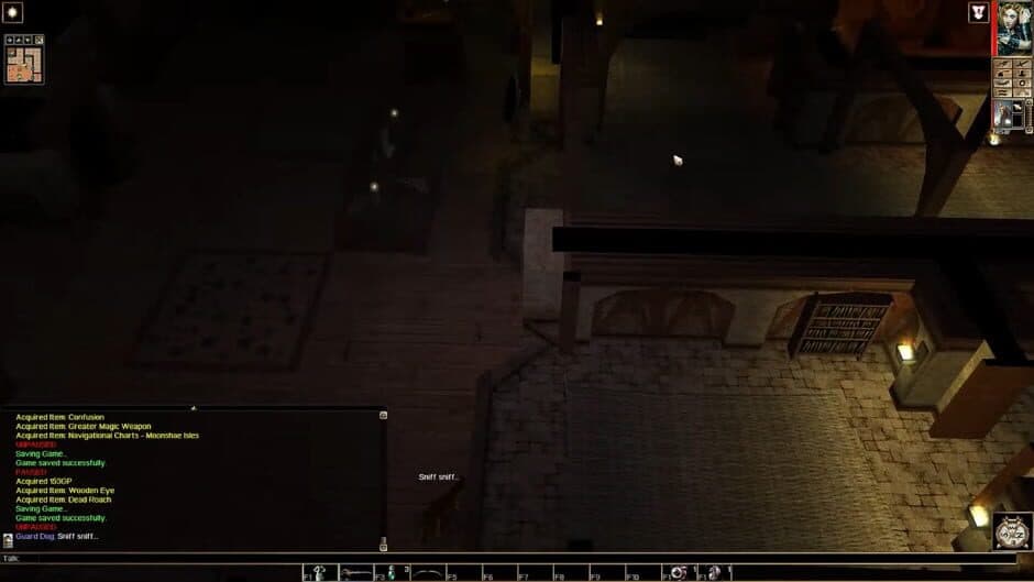 Скриншот 1 из Neverwinter Nights: Pirates of the Sword Coast