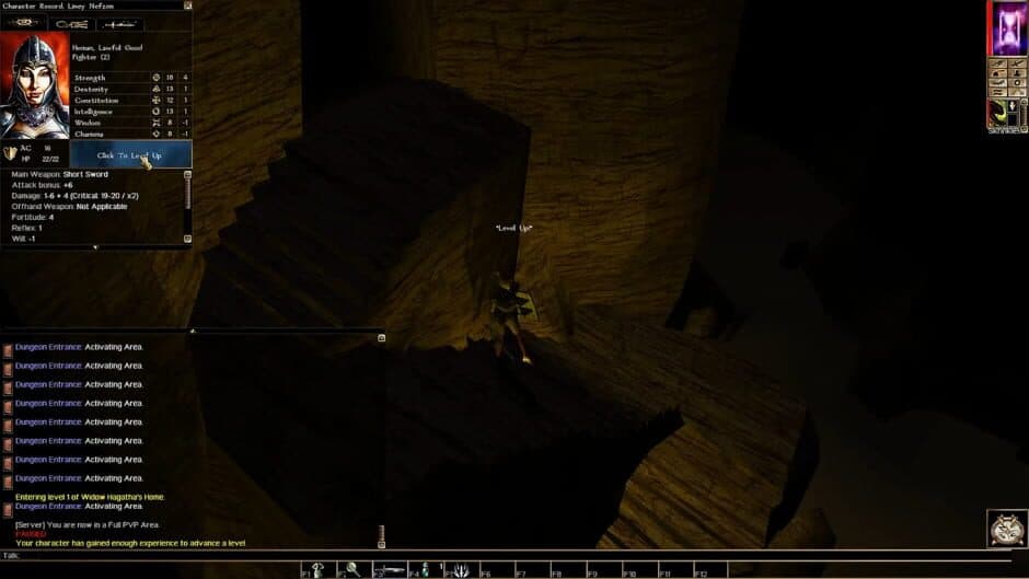 Скриншот 1 из Neverwinter Nights: Infinite Dungeons