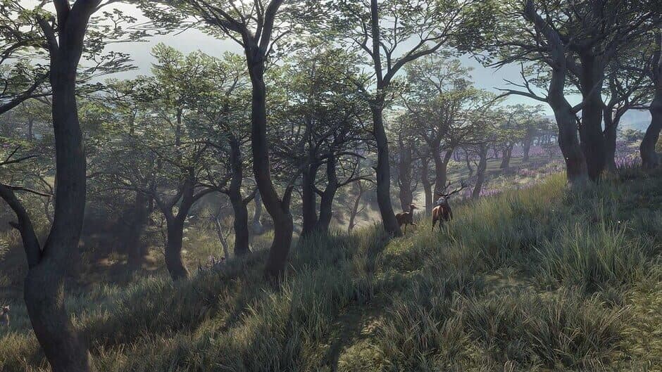 Скриншот 3 из TheHunter: Call of the Wild - 2021 Edition