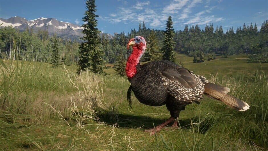 Скриншот 5 из TheHunter: Call of the Wild - 2021 Edition