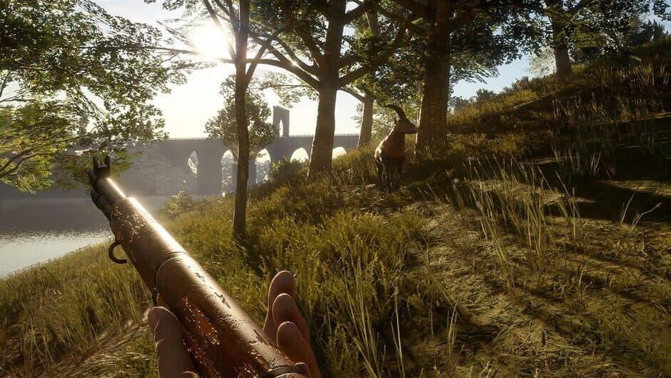 Скриншот 8 из TheHunter: Call of the Wild - 2021 Edition