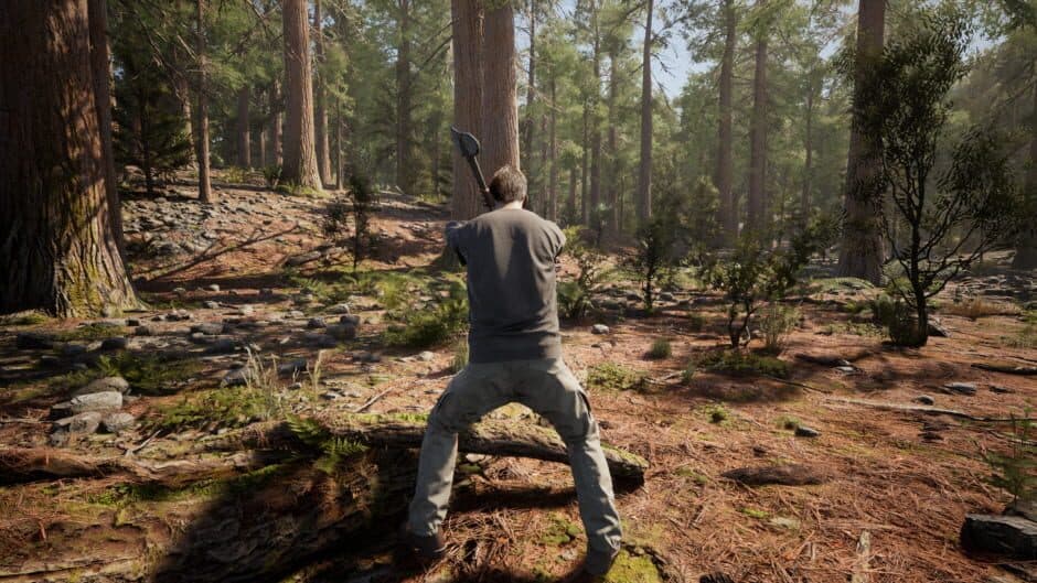Скриншот 1 из Wilderness