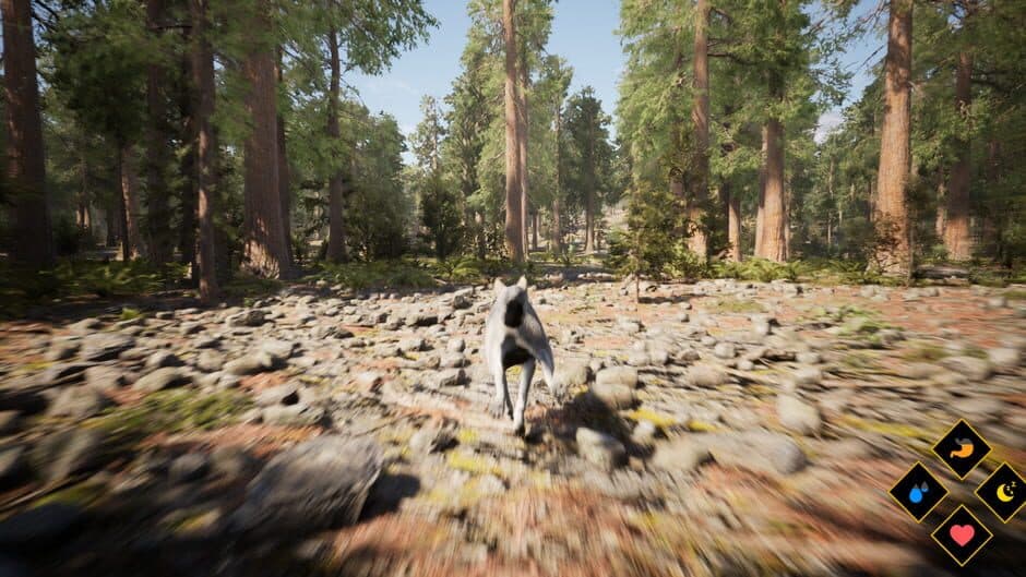 Скриншот 4 из Wilderness