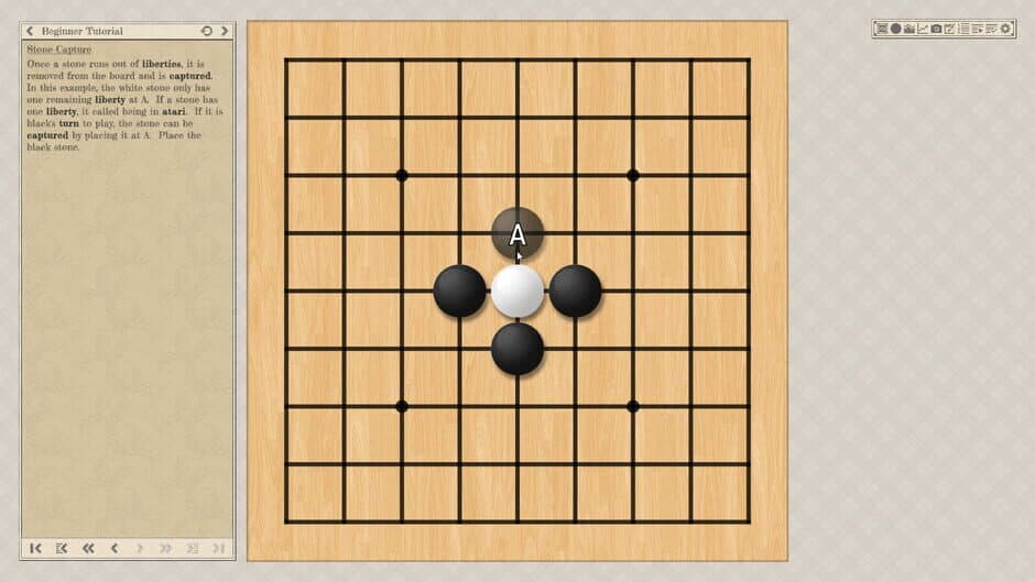 Скриншот 5 из The Conquest of Go