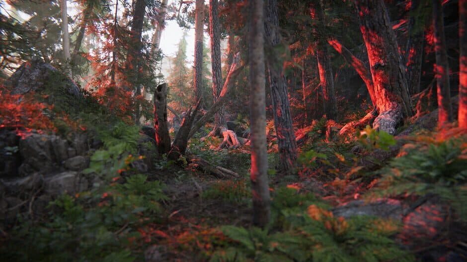 Скриншот 1 из The Forest Cathedral