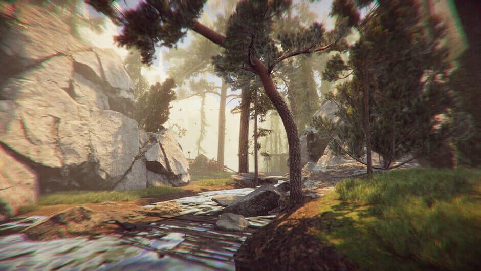 Скриншот 3 из The Forest Cathedral