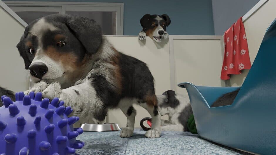 Скриншот 1 из Dog Trainer