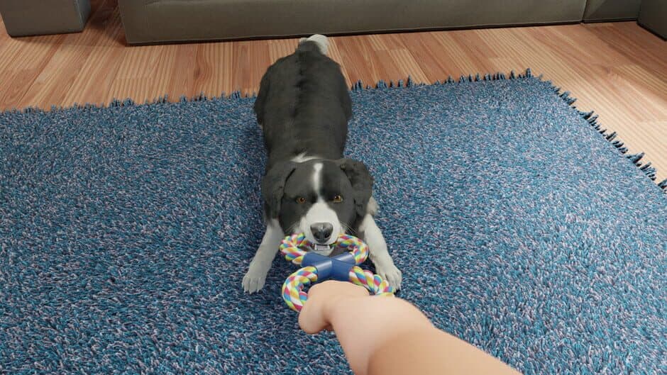Скриншот 7 из Dog Trainer