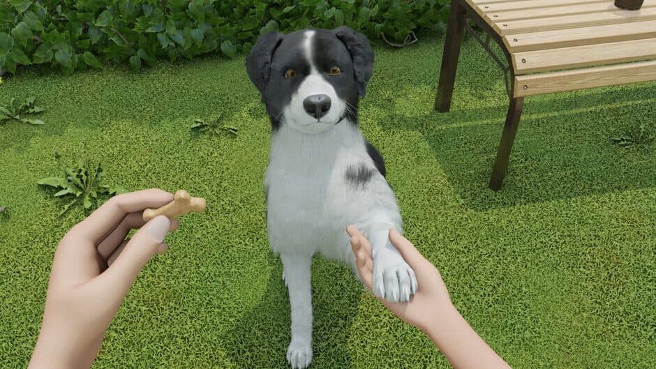 Скриншот 8 из Dog Trainer