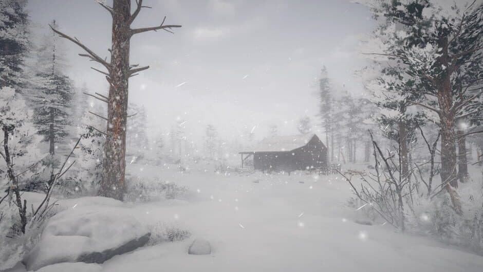 Скриншот 1 из Northern Lights