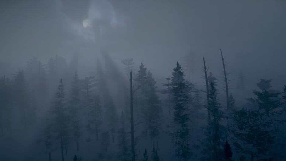 Скриншот 3 из Northern Lights